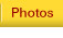 Martial arts action photos