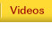 Martial arts videos