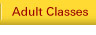 Adult Martial Arts Classes